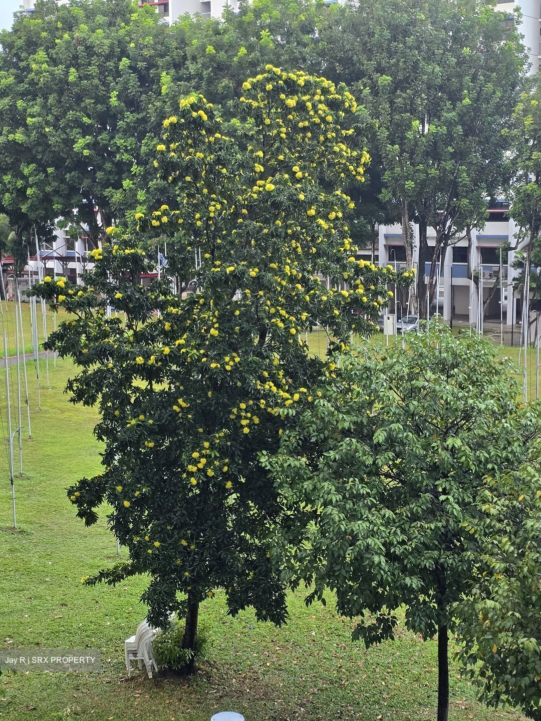 Yishun Avenue 11 (Yishun),  #634587821